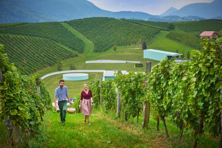 F008443-zlati_gric_slovenske_konjice_tomo_jesenicnik_4_orig_jpg-photo-l (1)